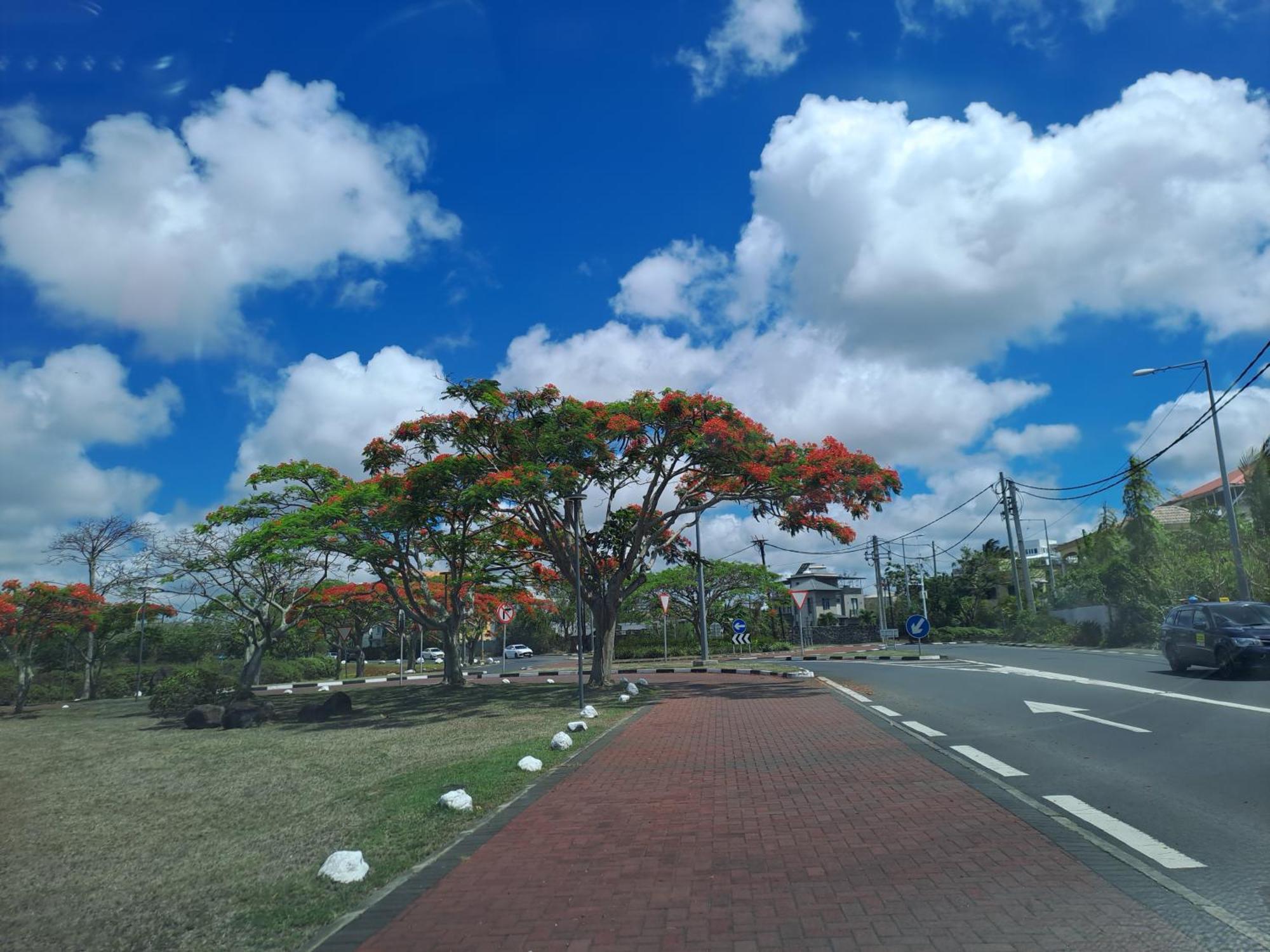 Maison Mont Choisy - One Or Two Bedrooms Apartment ทรู โอซ์ บิชส์ ภายนอก รูปภาพ